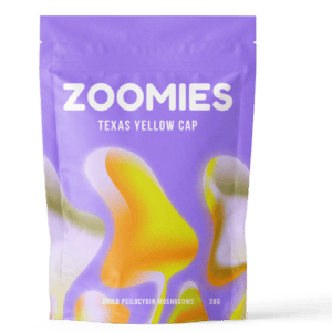 Texas Yellow Cap | Shrooms Canada