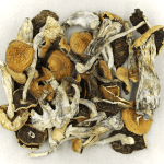 Full Moon Party | Shrooms Canada