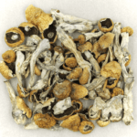 Orissa | Shrooms Canada