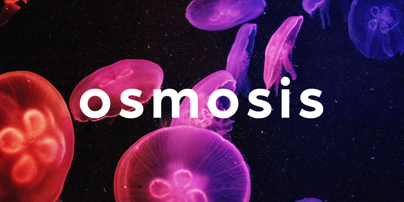 Zoomies osmosis banner | Shrooms Canada