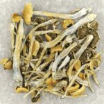 Trinity | Shrooms Canada