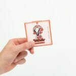 Wonder – Psilocybin Chocolate Bar – Blood Orange | Shrooms Canada
