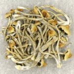 Hautla | Shrooms Canada