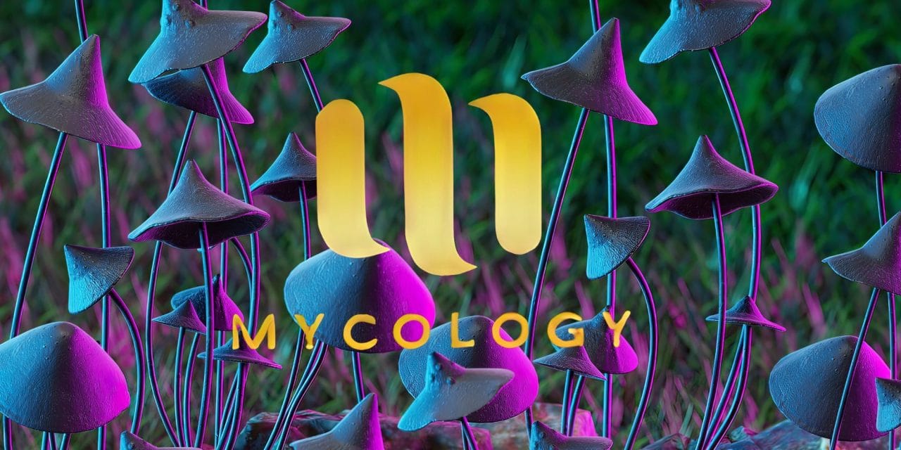Zoomies Summer 2023 Banner - Mycology | Shrooms Canada