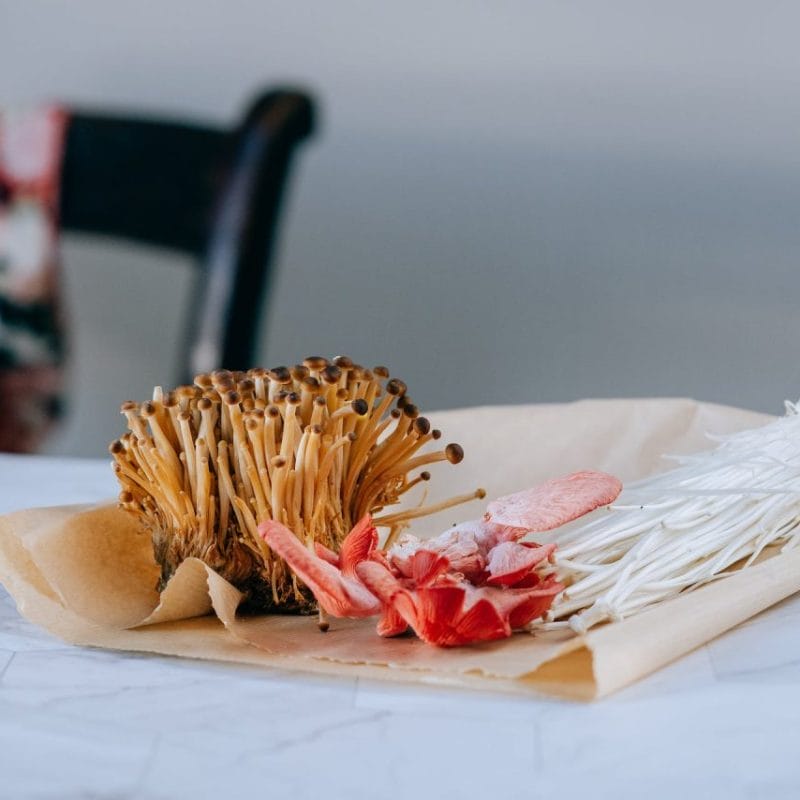 Buy Shrooms Online Canada (1) | Shrooms Canada