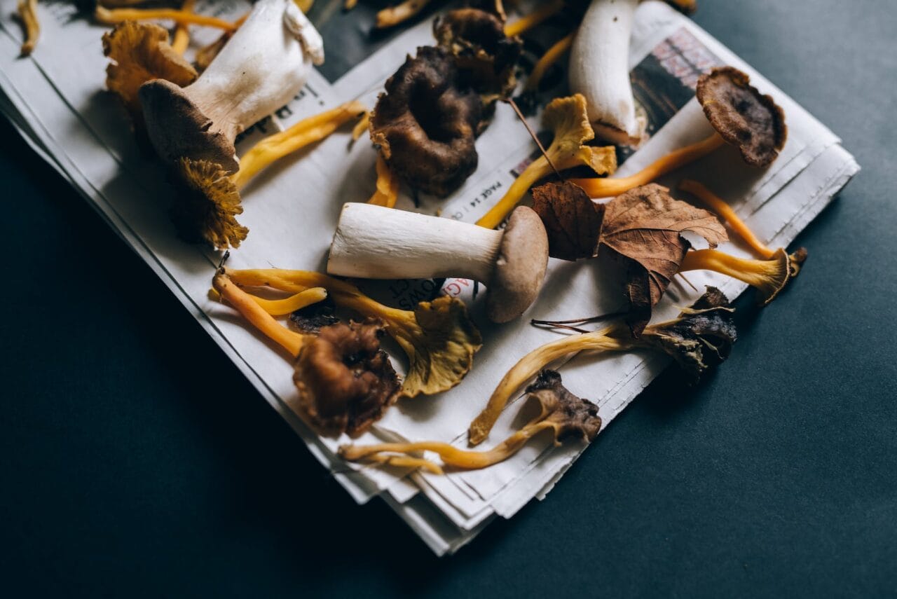 Is it a Good Combination – Chocolate and Mushrooms?