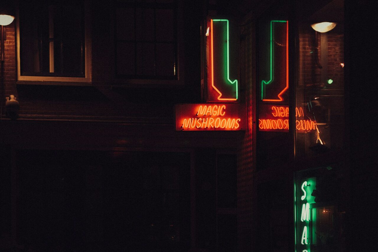 Vancouver Mushroom Dispensary – Understanding How Canada is Adapting to the Mushroom Surge in the US?
